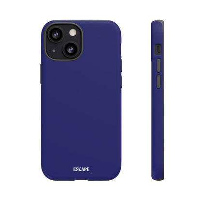 Copy of CAPRI #000080