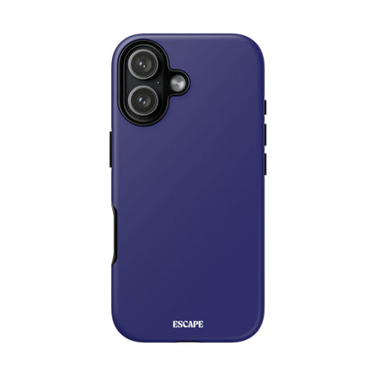 Copy of CAPRI #000080